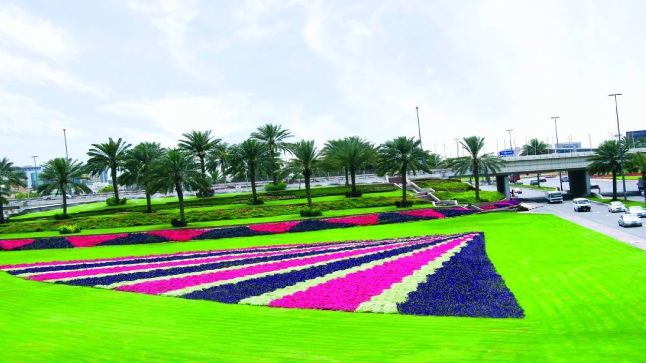 مساحات خضراء شاسعة.. دبي تسجل 55 مليون متر مربع من المناطق الطبيعية المتطورة